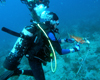 Spear Fishing Trip - West Palm Beach, FL