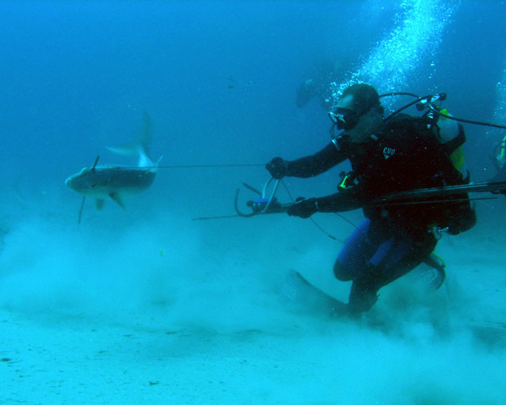 Sandy's Sunday - Spear Fishing, West Palm Beach, FL March 08, 2008