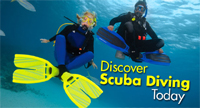 PADI Discover Scuba Diving - Dive Buddys