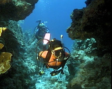 Drift Diver - Drifting through Coral