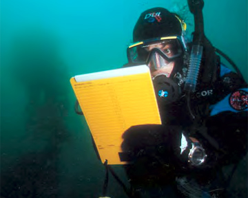 The AWARE Package - Diver Recording Information
