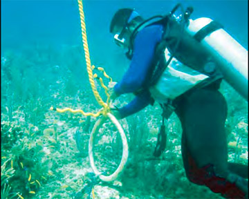 Project AWARE - Diver Repairing Anchorage