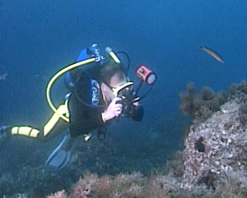 Digital Underwater Photography - Underwater Camera and Strobe