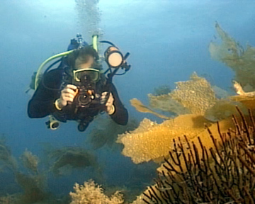 Underwater Photography - Underwater Camera and Strobe