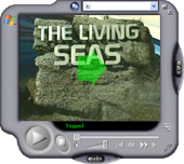 Video - Disney Epcot Living Seas