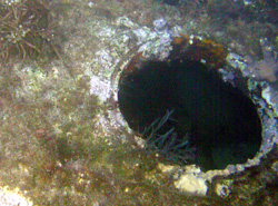 Deep Dive - Porthole
