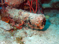 Wreck Diving - RMS Rhone