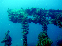 Deep Dive - RMS Rhone